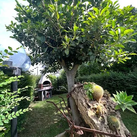 Ag Turchese Apartamento Botricello